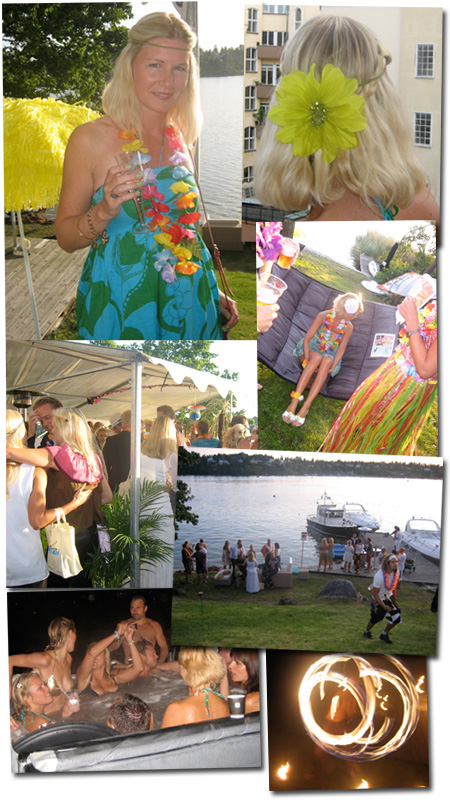 Hawaii Fest